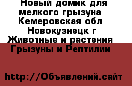 Новый домик для мелкого грызуна - Кемеровская обл., Новокузнецк г. Животные и растения » Грызуны и Рептилии   